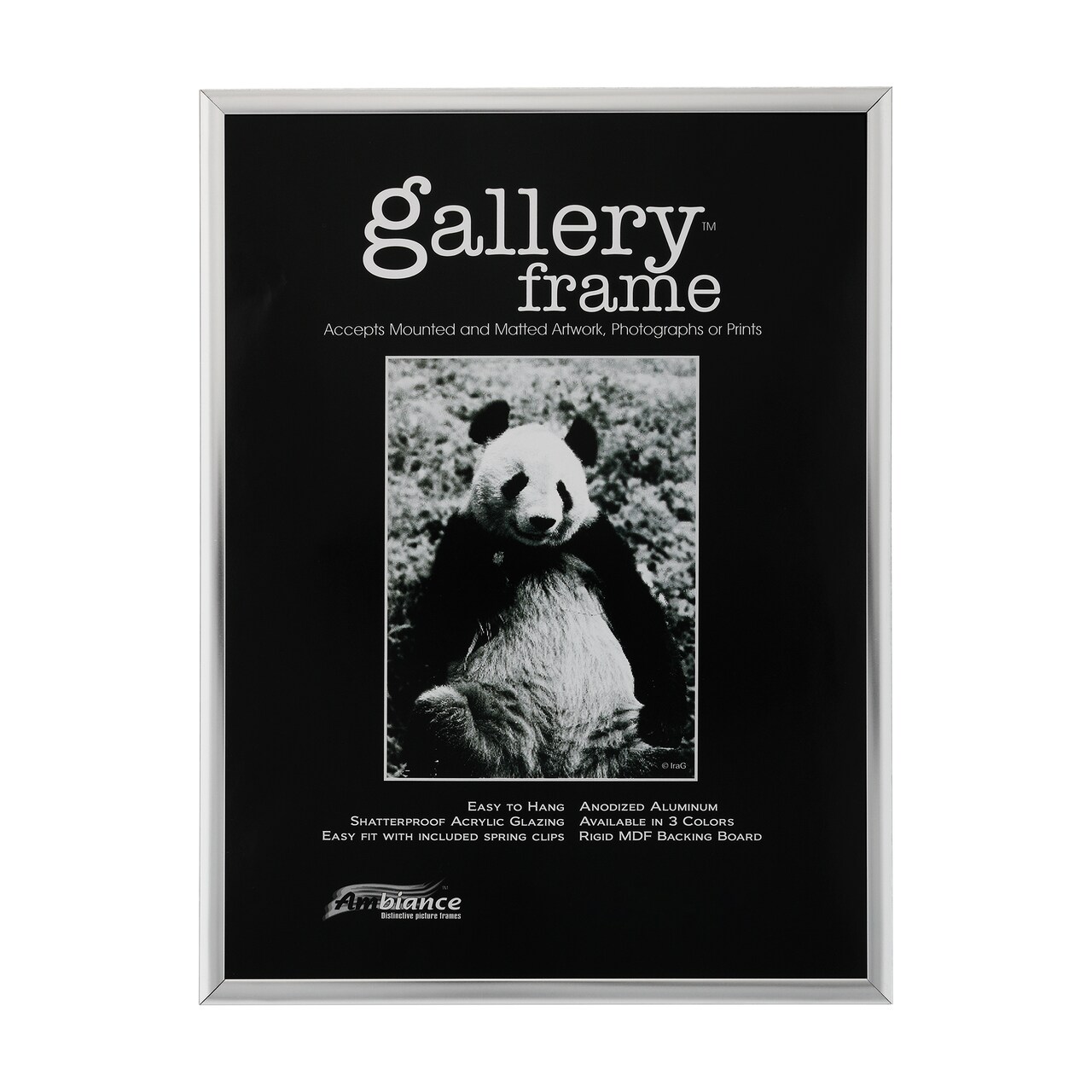 Ambiance Gallery Aluminum Picture Frame, 8"x10" Silver, Includes Shatterproof Glazing and Spring Loaded Backerboard - Easy to Frame